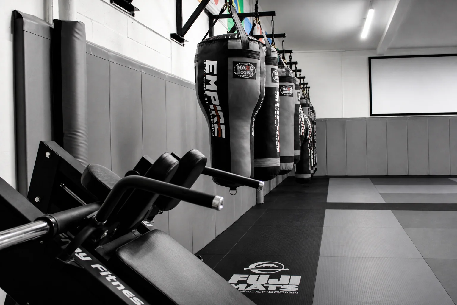 Empire MMA — training floor